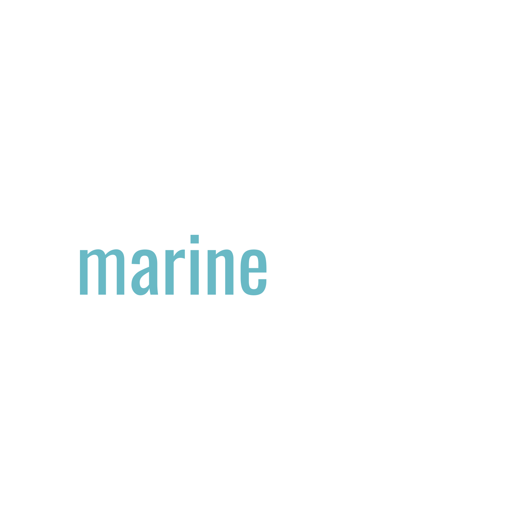 Brine Marine - Tampa Bay's Premier Marine Construction